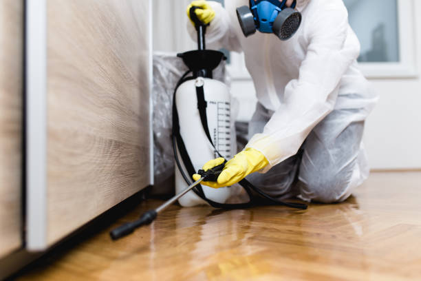 Best Pest Removal Services  in West Allis, WI