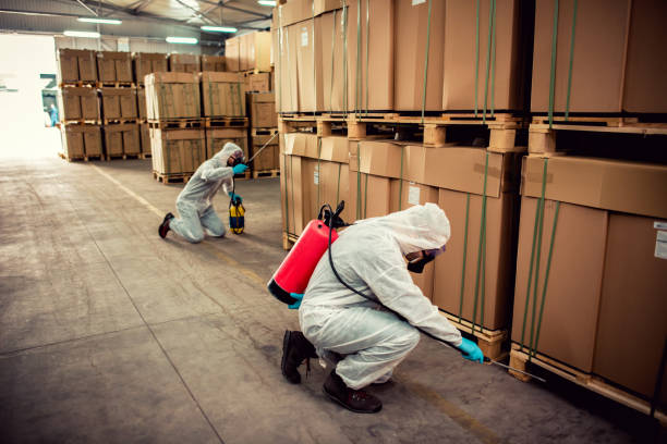 Best Flea Control Services  in West Allis, WI