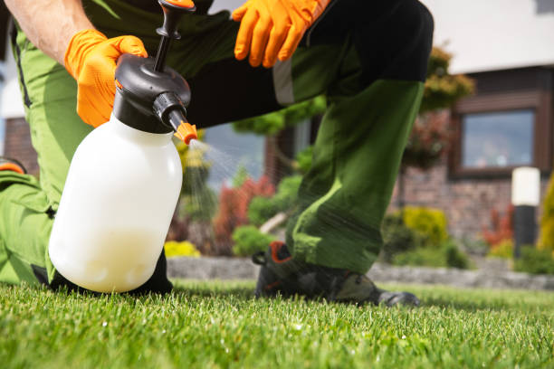 Best Best Pest Control Companies  in West Allis, WI