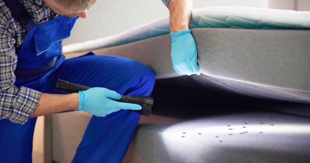 Best Insect Control  in West Allis, WI
