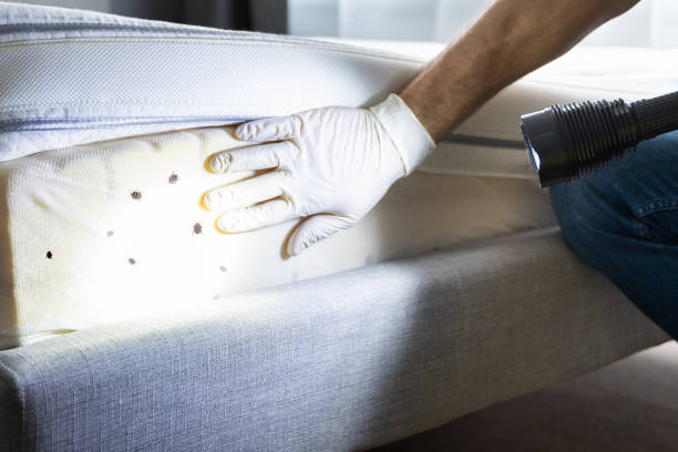 Best Pest Prevention Services  in West Allis, WI