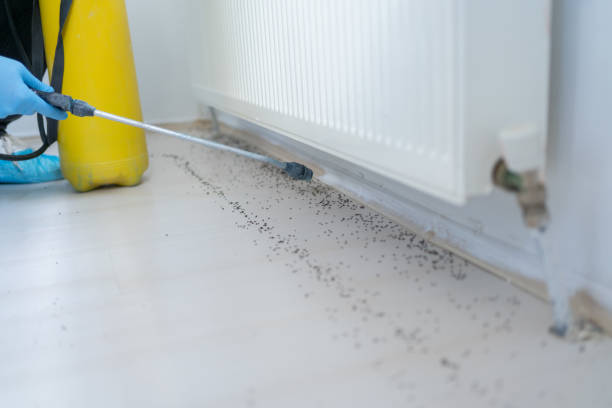Flea Control Services in West Allis, WI
