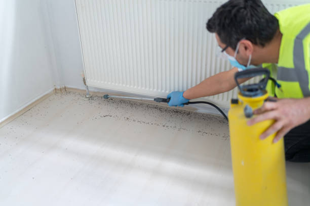 Best Commercial Pest Control Services  in West Allis, WI