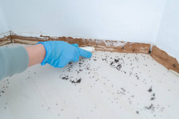 Best Commercial Pest Control Services  in West Allis, WI
