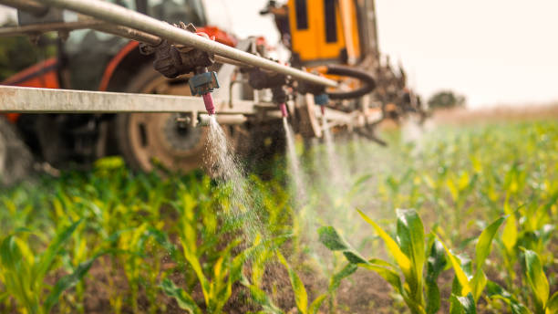 Reliable West Allis, WI Pest Control Solutions